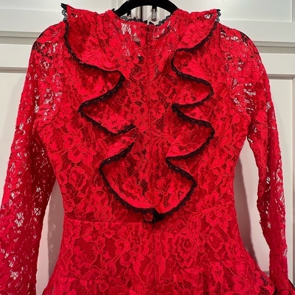 Alexis Tracie Long Sleeve Ruffle Mini Dress. Size Small. EUC!! - Picture 11 of 12